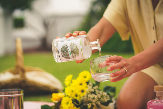 Exploring Australia’s Finest Gins: Giniversity and Adelaide Hills Distillery